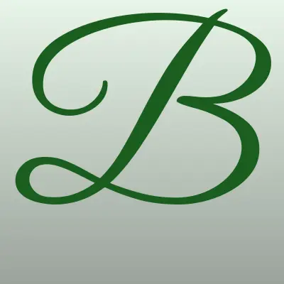 Bakstore.ru, сеть магазинов одежды и обуви, лого-визитка