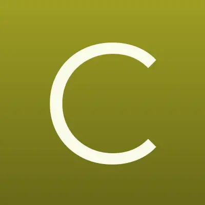 CUSTOМ workshop, торговая компания, лого-визитка