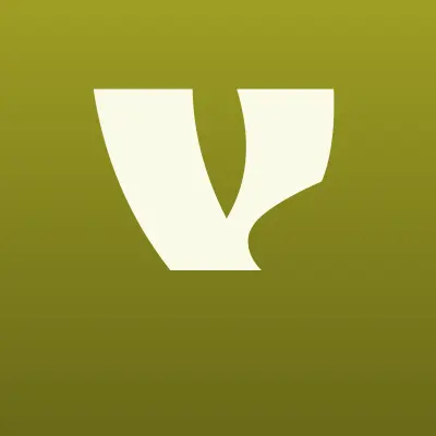 V.E.S., торгово-сервисный центр, лого-визитка